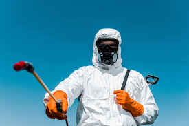 Best Pest Control for Hotels  in Whitney, NV